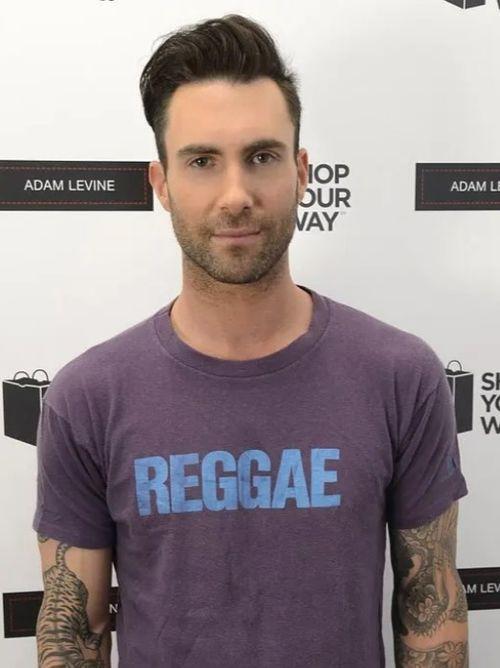 亚当莱文个人资料,才华横溢的音乐才子，揭秘他的艺术人生