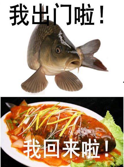 夏季高温搞笑图片,高温搞笑图片大盘点